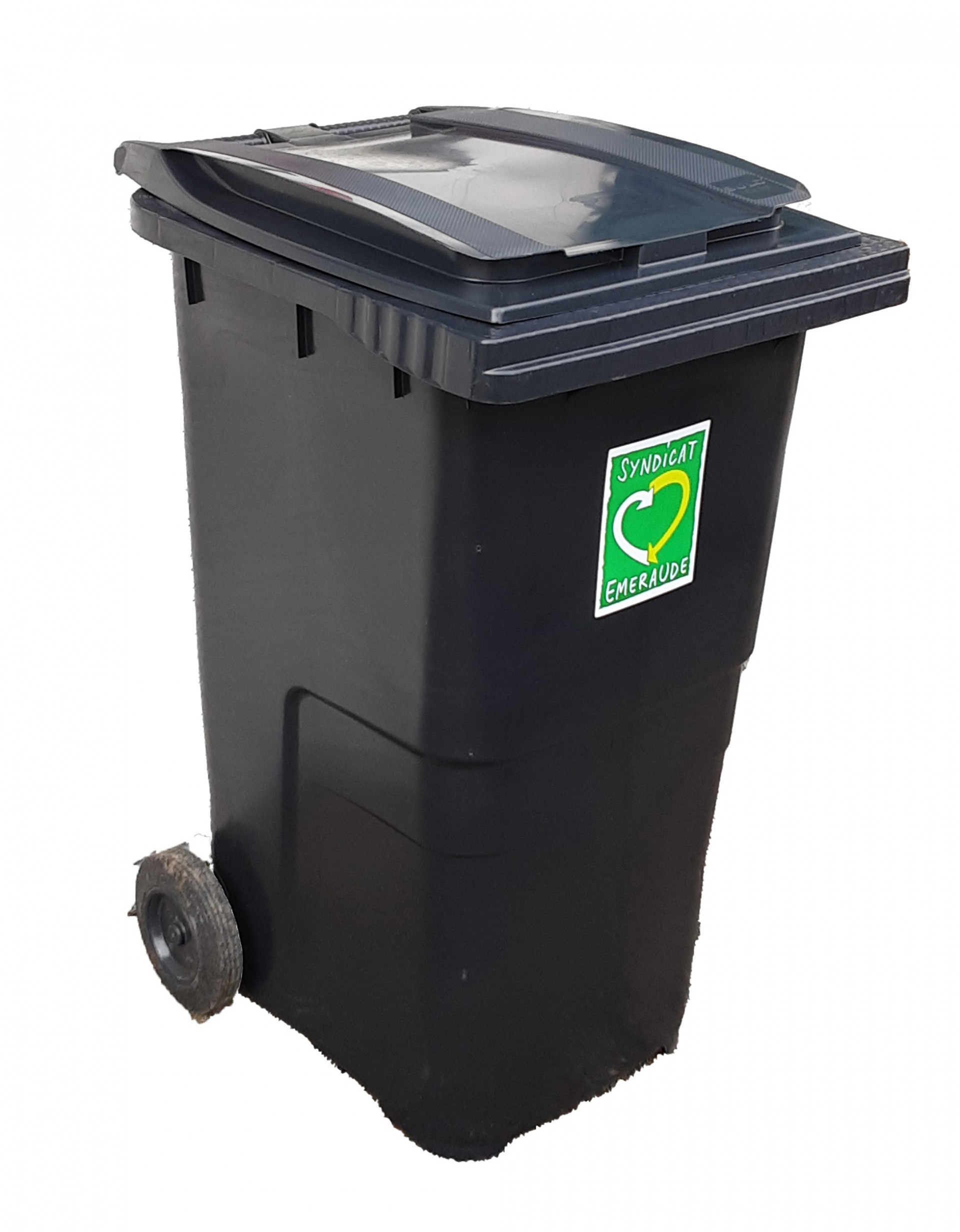 Description de l'image