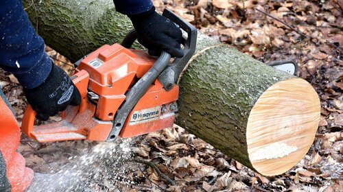 Coupe de bois