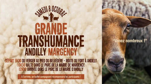 La Grande Transhumance