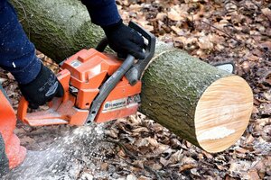 Coupe de bois