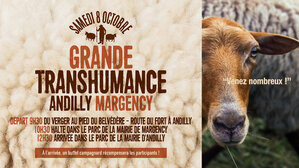 La Grande Transhumance