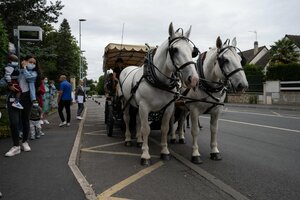 Collecte hippomobile des sapins